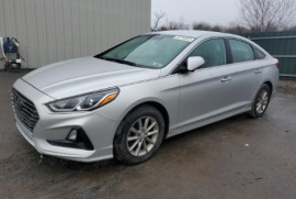 Hyundai, Sonata